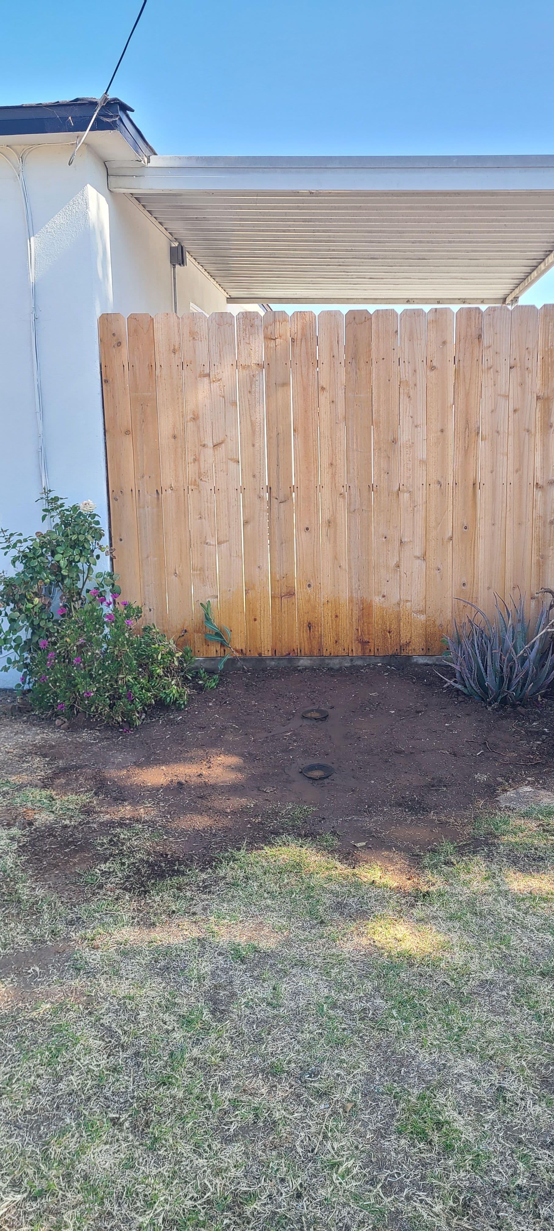 Gallery photos for 2-Way Cleanout Installation Stops Repeat Sewer Root Backups: Image #1