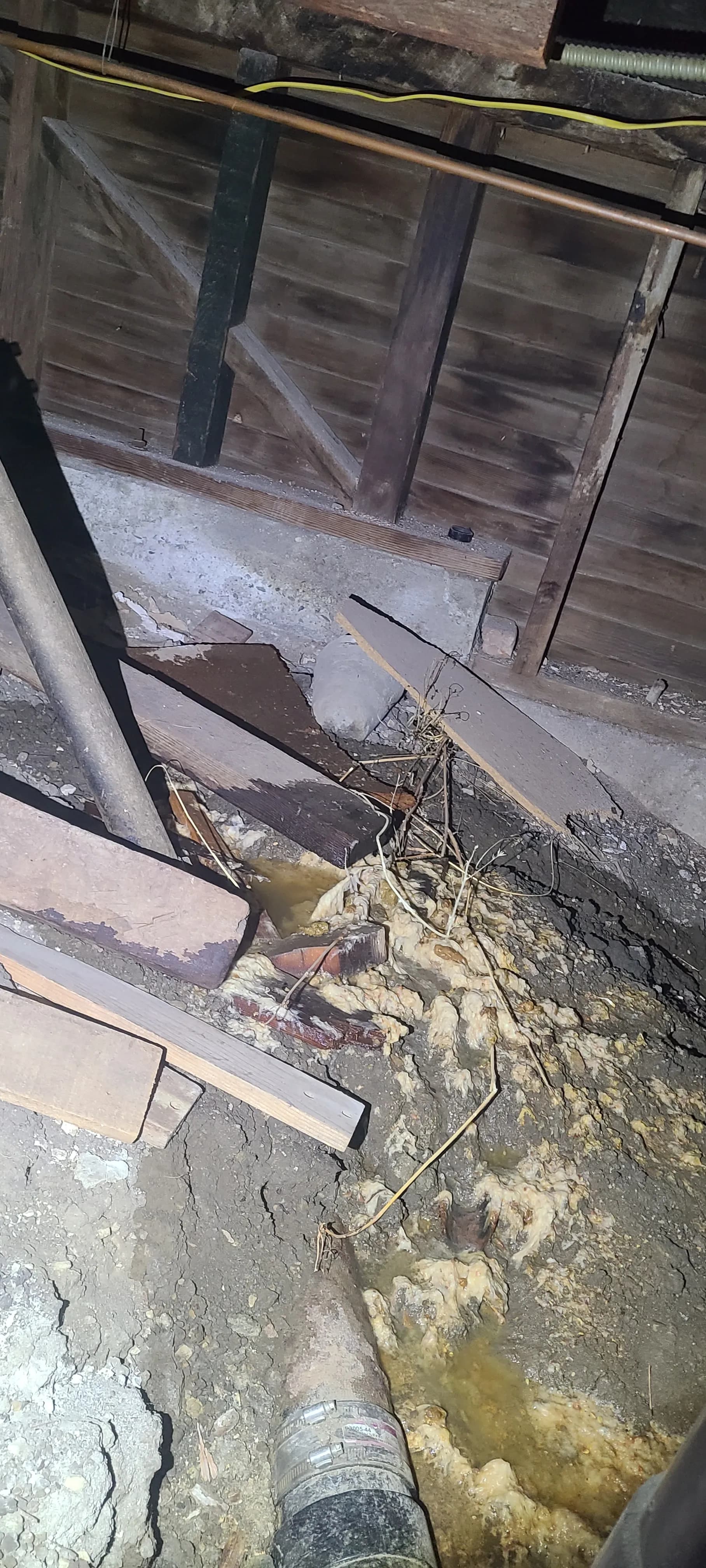 Gallery photos for Underground Drain Line Replacement and Cleaning Done Right: Image #2