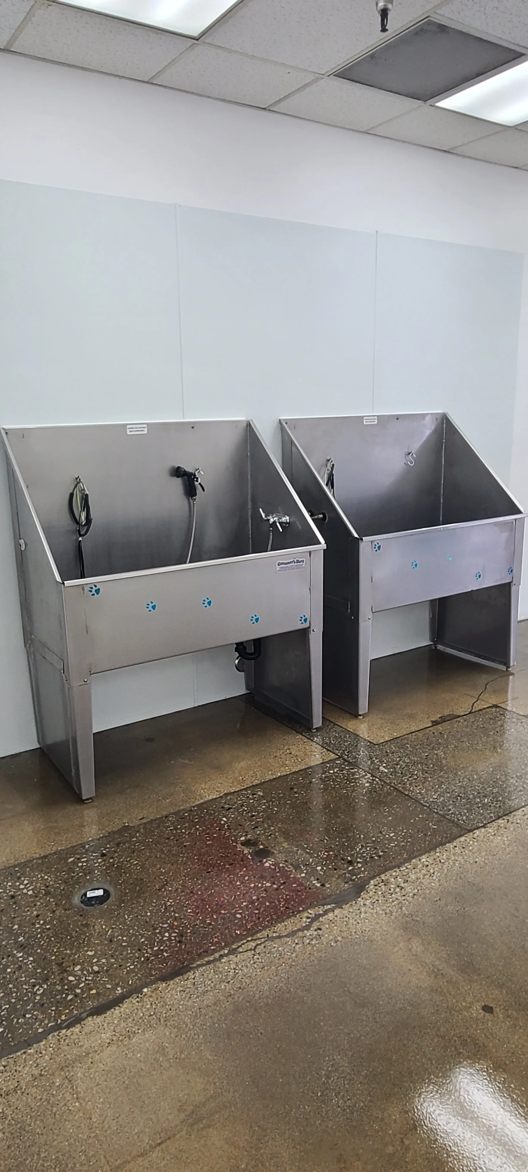Gallery photos for Grooming Salon Wash Station Relocation and Drain Install: Image #1