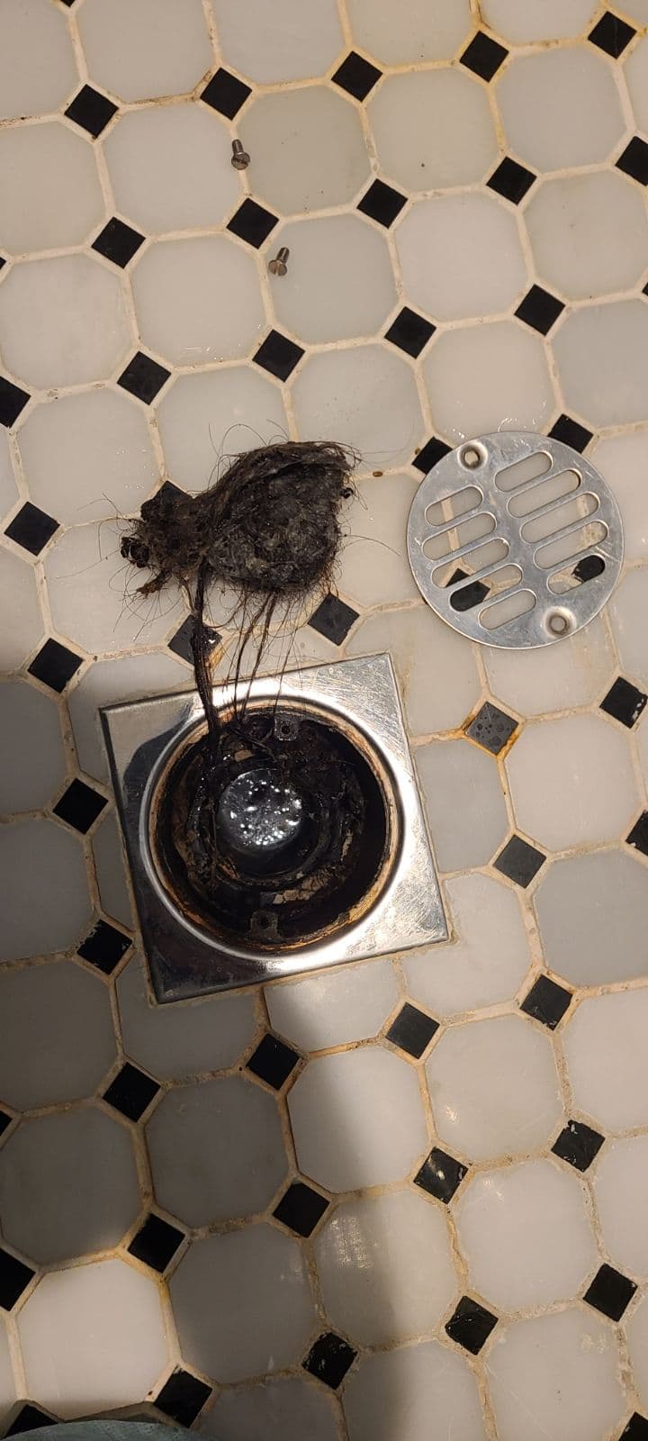 Project Tackling Shower Drain Clogs image