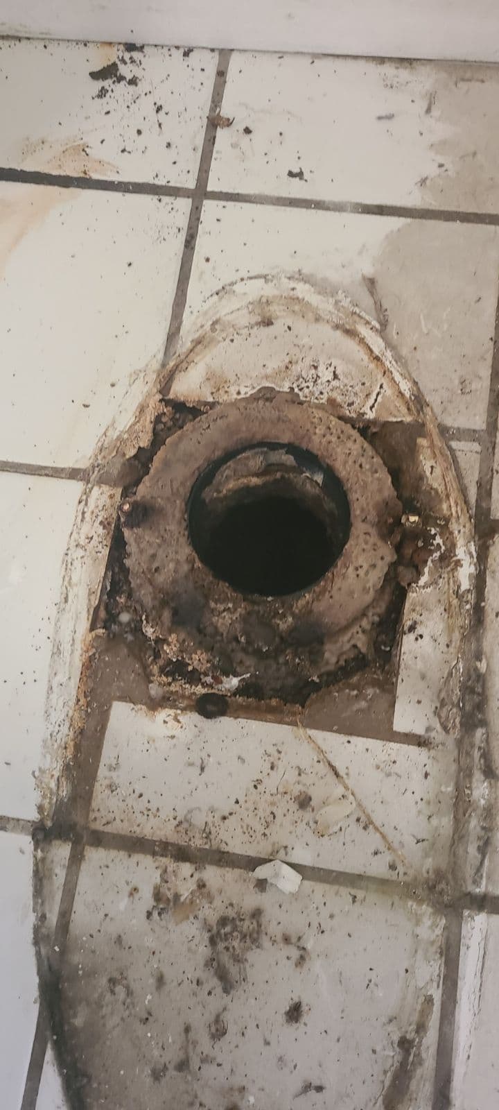 Gallery photos for Seamless Toilet Installation - Say Goodbye to Bathroom Woes: Image #1