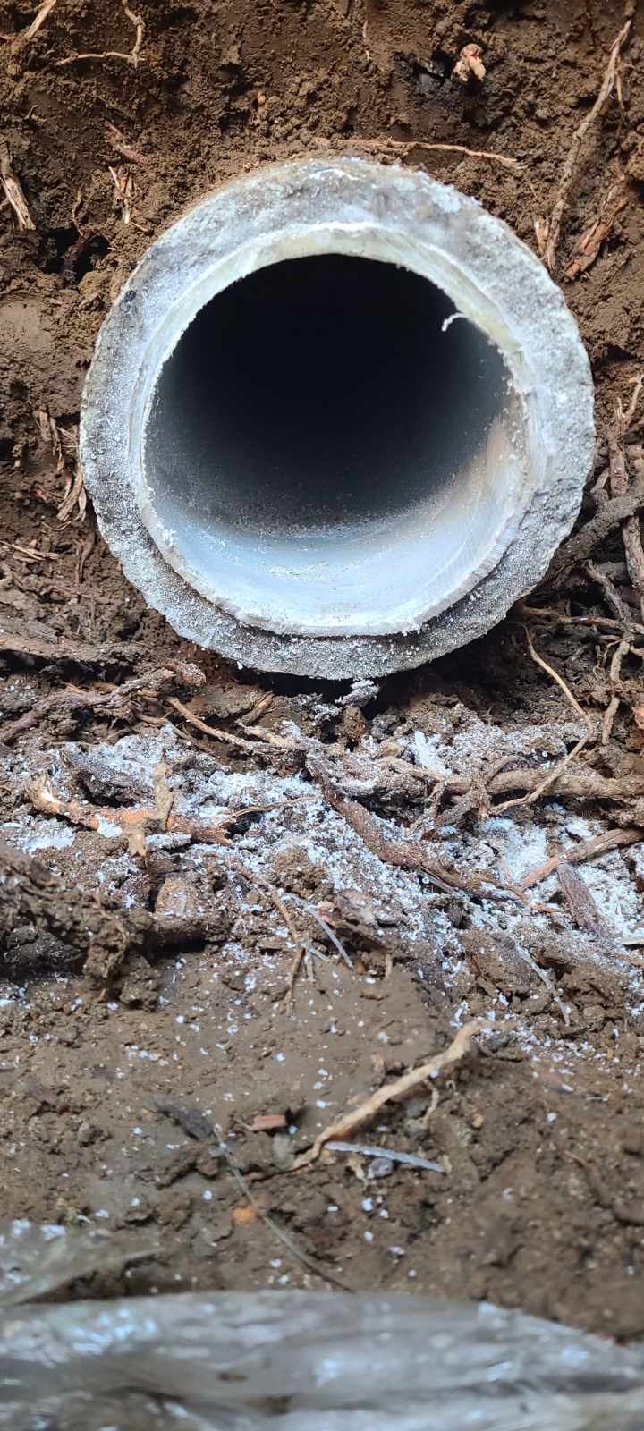 Project Sewer Lining Installation to Tackle Root Intrusion image