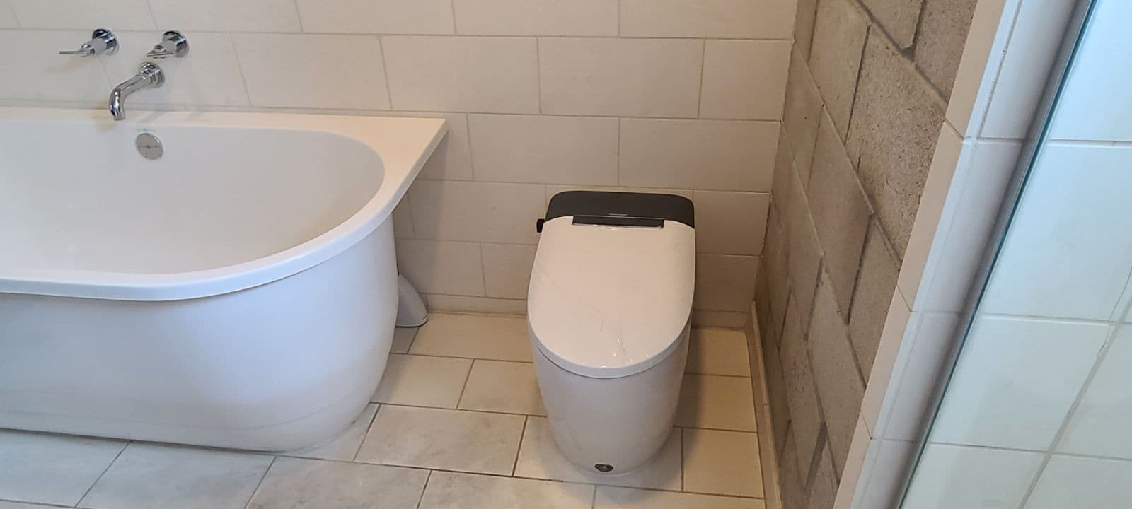 Smart Toilet Installation for Modern Living image
