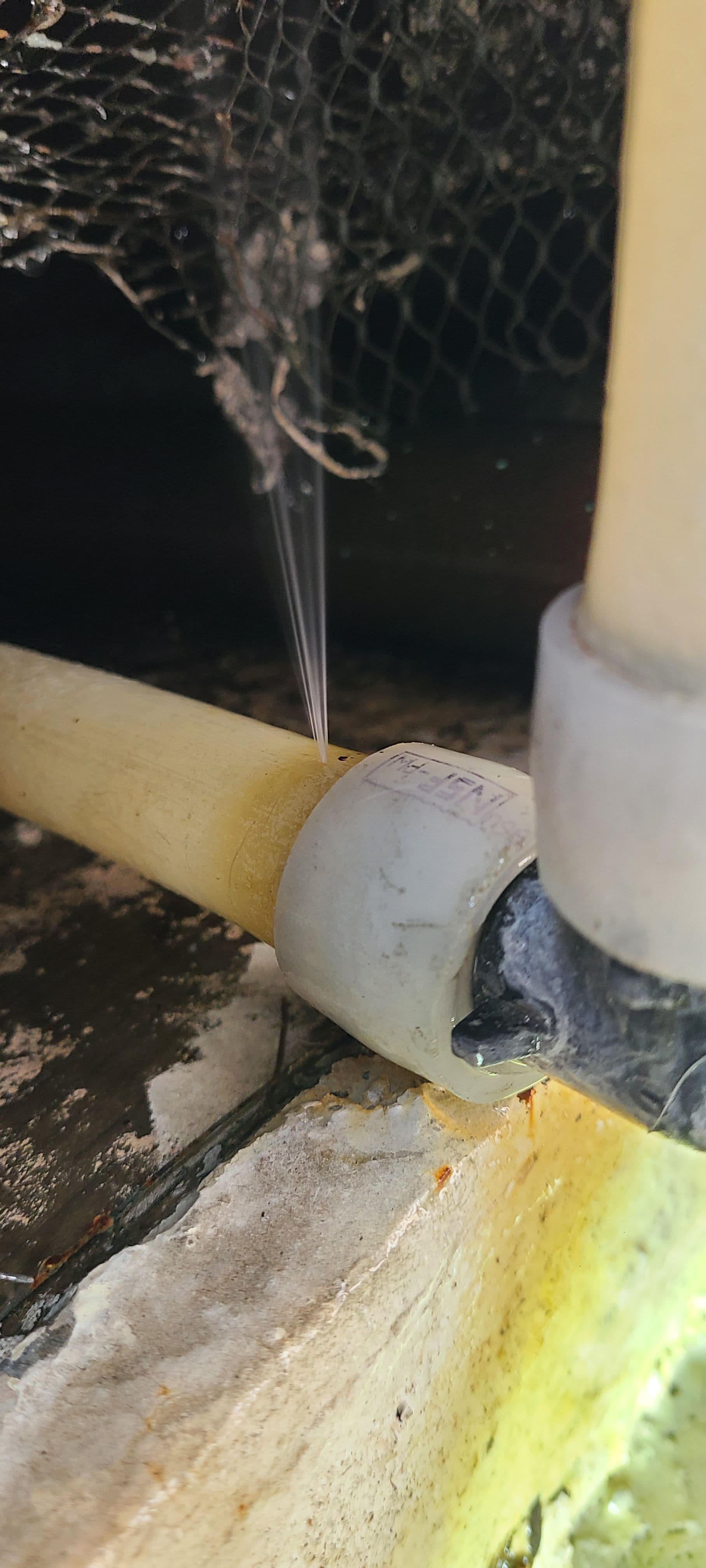 PEX Pipe Leak Caught Before It Got Worse image